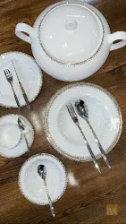 نمونه کار نمایندگی چینی زرین ایران در تبریز در تبریز - 3