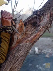 نمونه کار صنایع دستی چوب و چرم مرکب سازی در تبریز - 3
