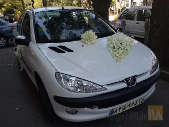 نمونه کار گلفروشی پامچال در تبریز - 2