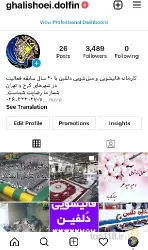 نمونه کار کارخانه قالیشویی و مبل‌شویی دلفین در کرج - 3