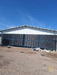نمونه کار مرغ تخمگذار هدایتی در اردستان - 3