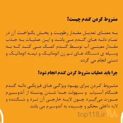 نمونه کار آرد ساحل قو  - نوران در سلمان شهر - 3