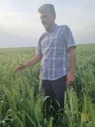 نمونه کار شرکت آریا کشت خوزستان در اهواز - 3