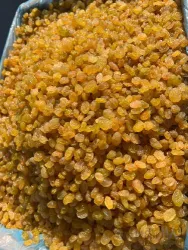 نمونه کار تولیدی خشکبار اروم اعتبار در ارومیه - 3