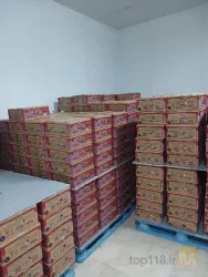 نمونه کار شرکت سپیده زریبار مریوان(ریمیا)	 در مریوان - 3