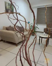 نمونه کار روانشناسی بالینی حبیبه درشته در تبریز - 3
