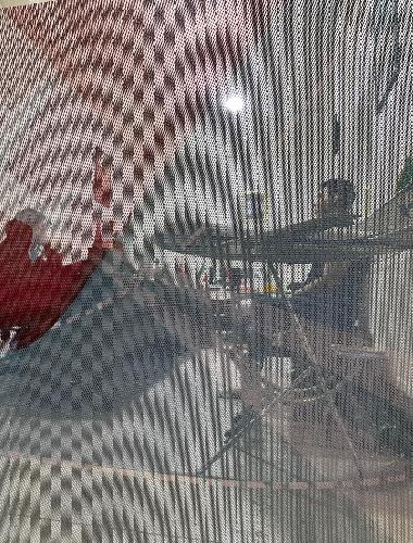 آژانس مسافرتی : خدمات سیاحتی و زیارتی و جهانگردی میشو پرواز تبریز در تبریز