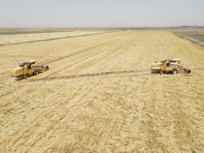  بذر و نهال : صادرات و واردات در قائنات