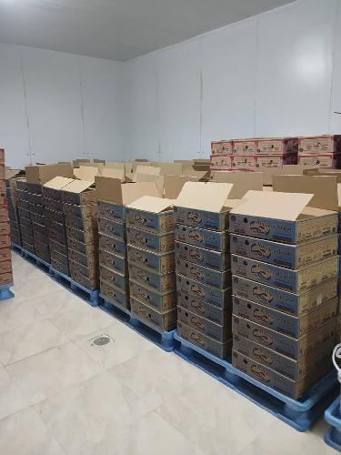  لبنیات و انواع خامه قنادی : تولید و توزیع در مریوان