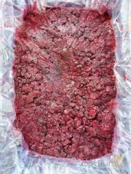 نمونه کار خزر میوه ارم در ساری - 4