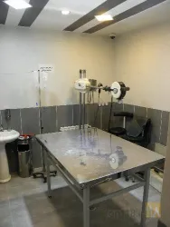 نمونه کار  حیوانات خانگی  در تبریز - 4