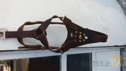 نمونه کار سراجی قاسم پور در تبریز - 4