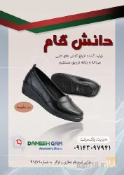 نمونه کار تولیدی کفش طبی دانش گام  در تبریز - 4