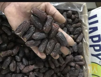 نمونه کار خرمای تک نفره مروارید سیاه حامد در تبریز - 4