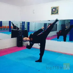 نمونه کار باشگاه رزمی استقلال در تبریز - 4