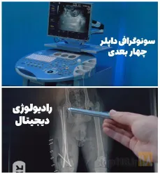 نمونه کار کلینیک حیوانات خانگی دکتر سینا یعقوبی  در تبریز - 4