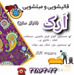 نمونه کار قالیشویی ارک (کارگر سابق) در تبریز - 4