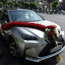 نمونه کار بهترین گلفروشی تبریز خزرگل در تبریز - 4