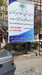 نمونه کار مشاوره سرمایه گذاری و املاک چنار در ممقان - 4