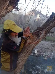 نمونه کار صنایع دستی چوب و چرم مرکب سازی در تبریز - 4