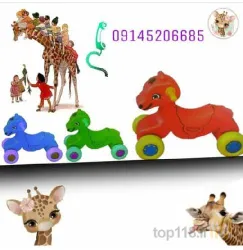 نمونه کار پلاستیک سازی امیری در تبریز - 4