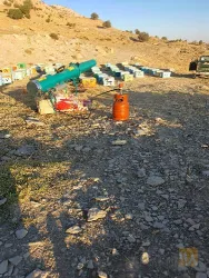 نمونه کار عسل نخچیر در ایلام - 4