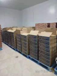 نمونه کار شرکت سپیده زریبار مریوان(ریمیا)	 در مریوان - 4