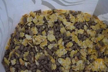 نمونه کار شرکت دانه داران توس در مشهد - 4
