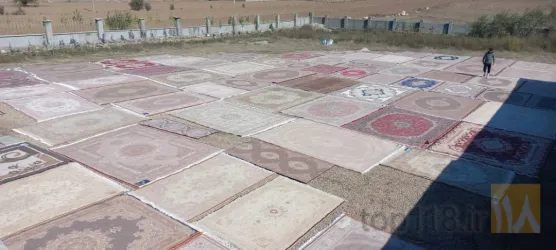 نمونه کار قالیشویی پاک فرش در اردبیل - 4