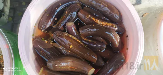 نمونه کار عرقیات و سلامتکده مهگل کیوان در تبریز - 4