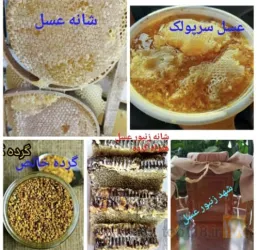 نمونه کار فروش عسل طبیعی در تبریز (بانوی عسل) در تبریز - 4