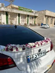 نمونه کار سوپر گل ایستگاه سبز در میانه - 4