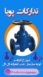 نمونه کار فروشگاه تدارکات پویا در تبریز - 4