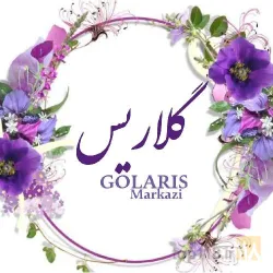 نمونه کار تولیدی نبات خورشید درخشان در مرکزی - 5