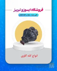 نمونه کار فروشگاه ایسوزو تبریز در تبریز - 5