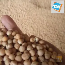 نمونه کار ترخیص کالا از تمامی گمرکات ایران در تبریز - 5
