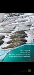 نمونه کار بازار ماهی تبریز در تبریز - 5