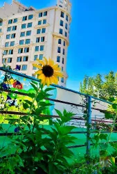 نمونه کار بهترین مدرسه دخترانه هوشمند گونش  در تبریز - 5