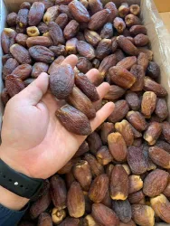 نمونه کار خرمای تک نفره مروارید سیاه حامد در تبریز - 5