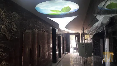 نمونه کار سقف کشسان  در تبریز - 5