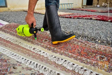 نمونه کار قالیشویی تبریز در تبریز - 5