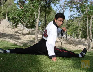 نمونه کار آموزش کونگ فو توآ در تبریز - 5