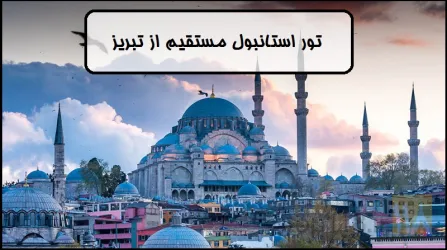 نمونه کار دفتر هواپیمایی ، زیارتی و جهانگردی طورامین وظیفه  در تبریز - 5