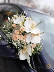 نمونه کار گل پارمیدا  در تبریز - 5