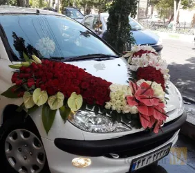 نمونه کار گل ژوبا در تبریز - 5