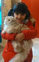 نمونه کار سرزمین حیوانات ( زوفان ) zoo fun در تبریز - 5