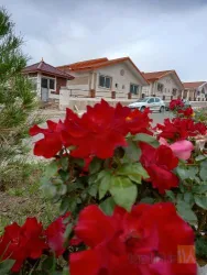 نمونه کار  سفال طبرستان نمایندگی انحصاری آذربایجان شرقی در تبریز - 5