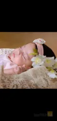 نمونه کار عکاسی رام رام در تبریز - 5