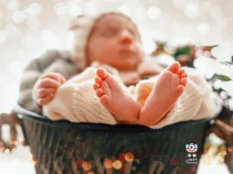نمونه کار فتو وین در تبریز - 5
