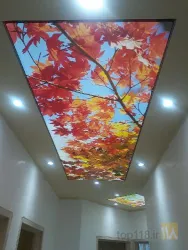 نمونه کار دکودیزاین سازه آذربایجان در تبریز - 5